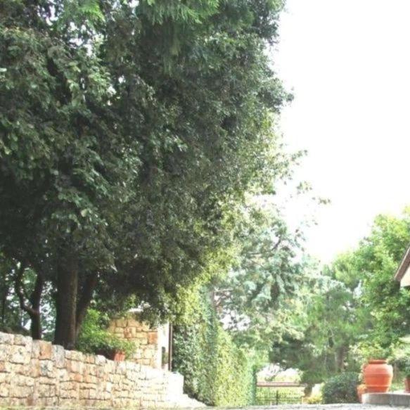 Casa Marisa Villa Vacanza Castellana Grotte Eksteriør billede