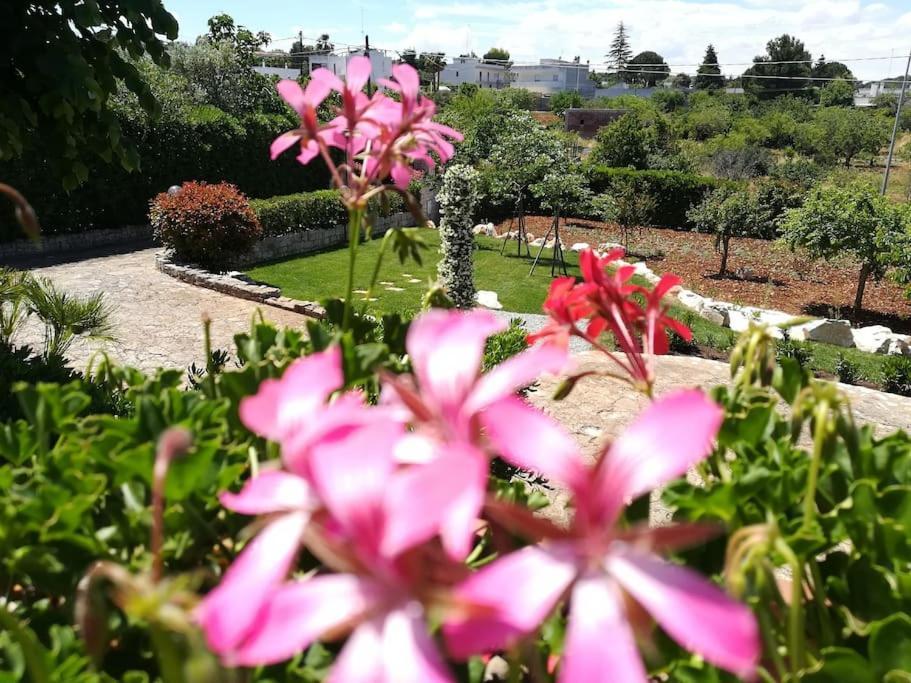 Casa Marisa Villa Vacanza Castellana Grotte Eksteriør billede