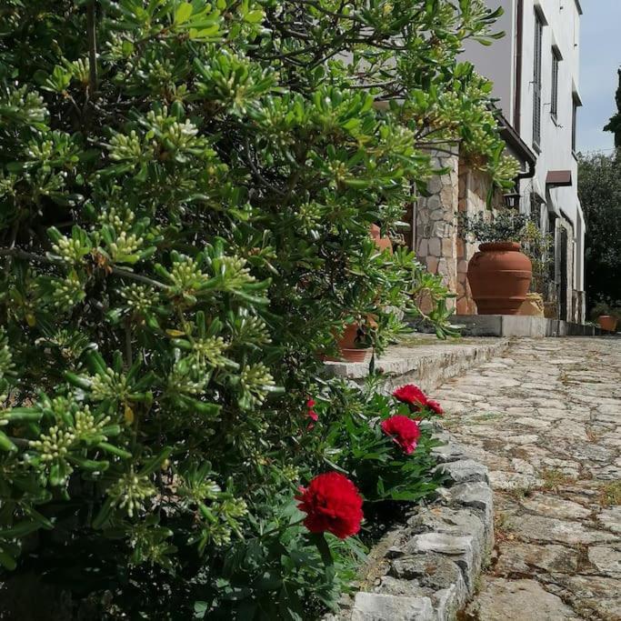 Casa Marisa Villa Vacanza Castellana Grotte Eksteriør billede