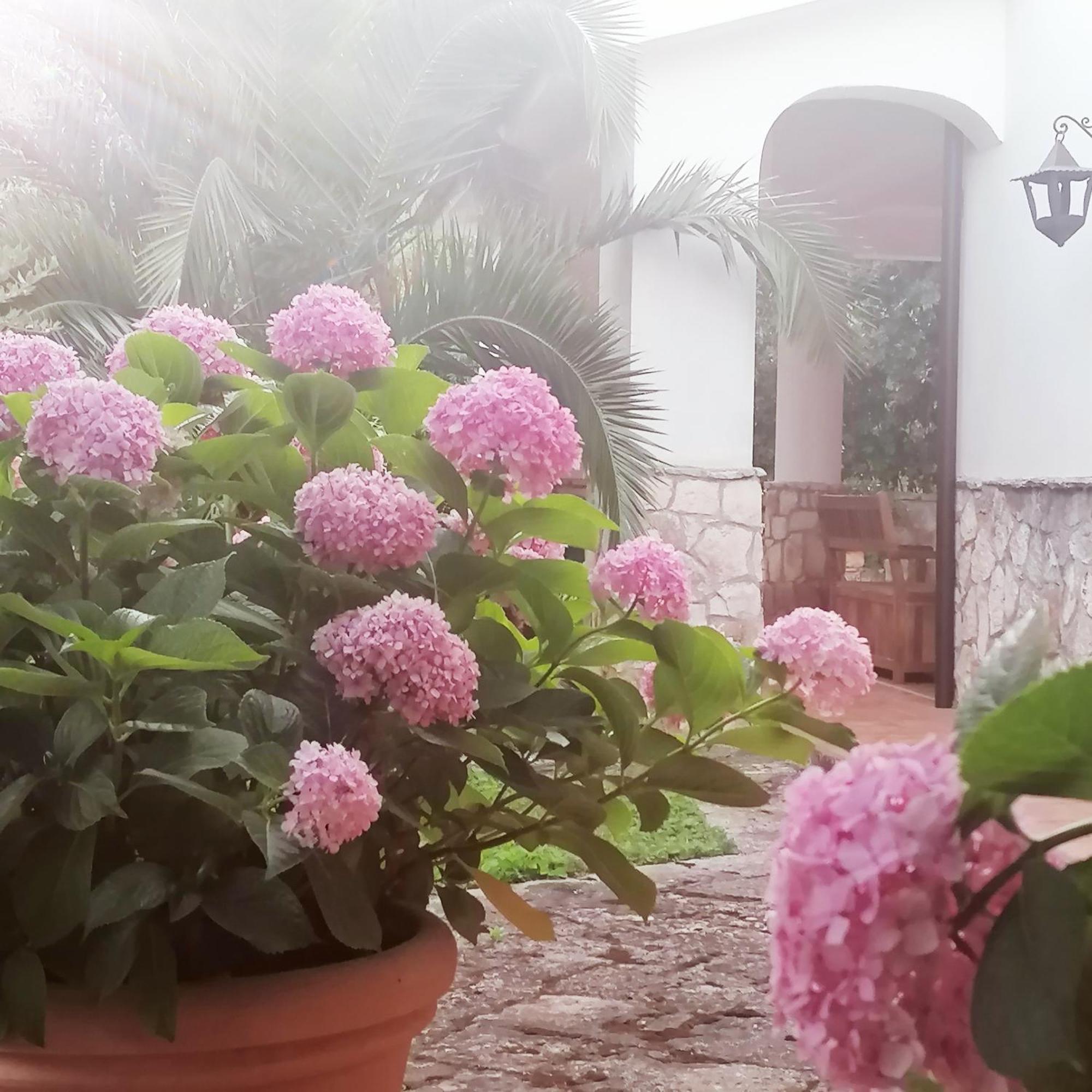 Casa Marisa Villa Vacanza Castellana Grotte Eksteriør billede