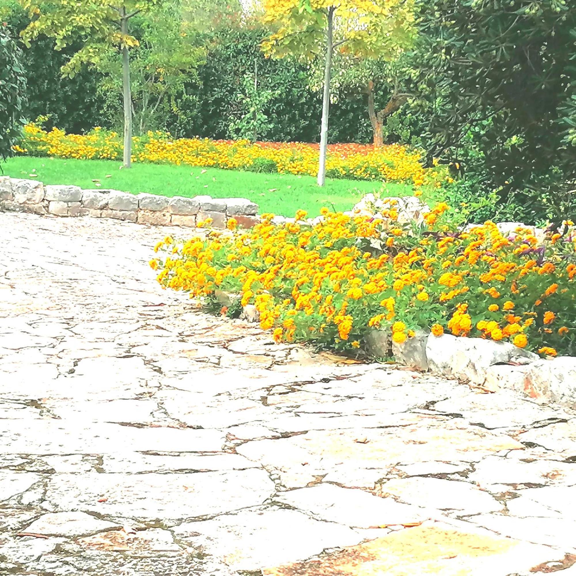 Casa Marisa Villa Vacanza Castellana Grotte Eksteriør billede