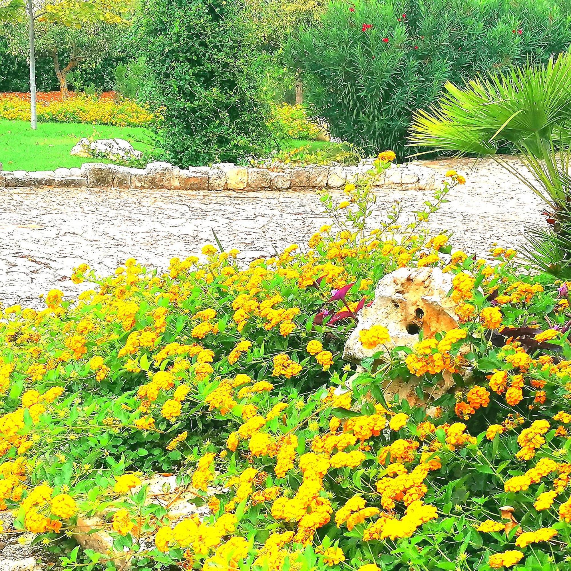 Casa Marisa Villa Vacanza Castellana Grotte Eksteriør billede